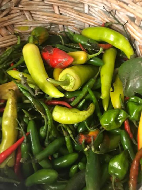 Merrillville Farms Produce & Fruit Hobart, IN