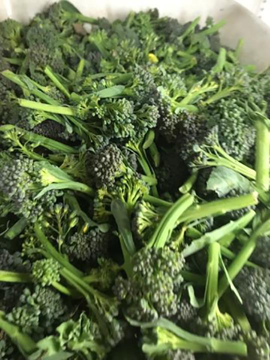 Merrillville Farms Produce Market Hobart, IN