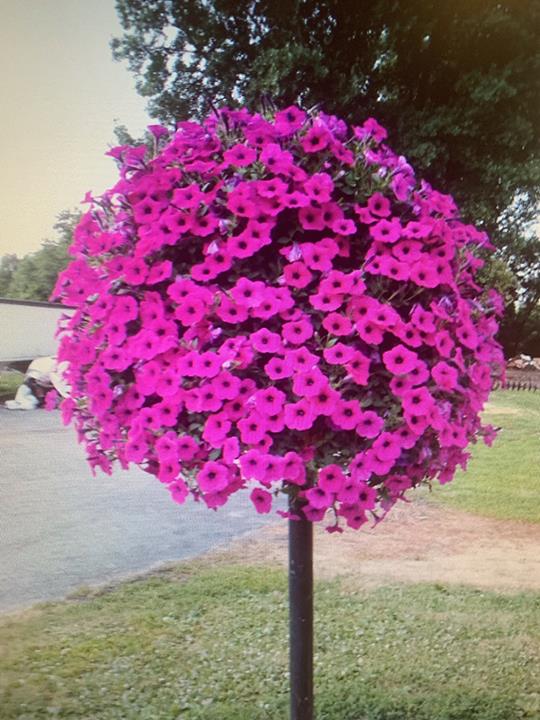 Merrillville Farms Produce Market Hobart, IN